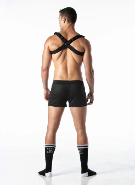 Leader Combat Harness Black Small