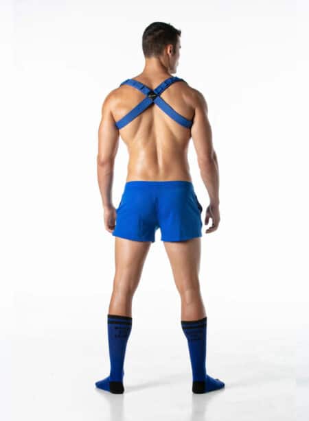 Leader Combat Harness Blue X-Large