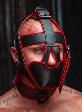 Mr. S Hardline Head Harness Muzzle Padded Non-locking Red