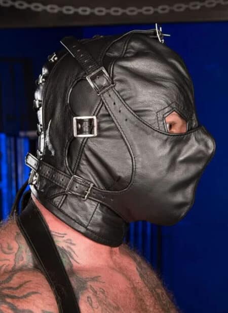 Mr. S Leather Asylum Hood Black