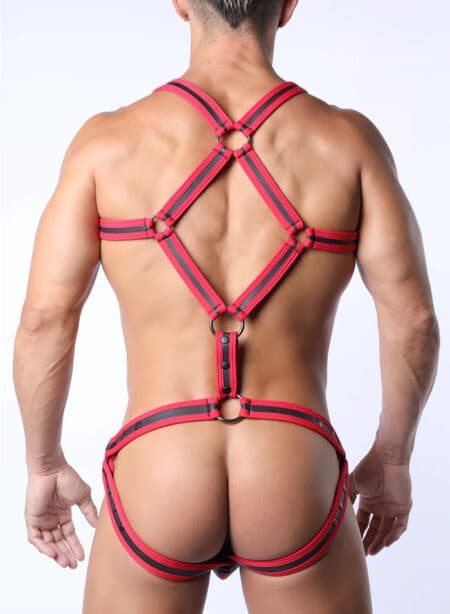 Cellblock 13 Diamondback Body Harness Red Large