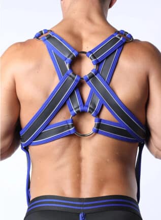 Cellblock 13 Mercury Harness Blue Small