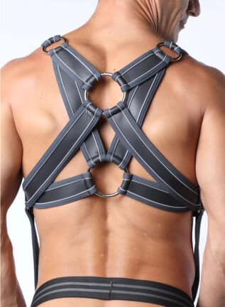 Cellblock 13 Mercury Harness Grey Large
