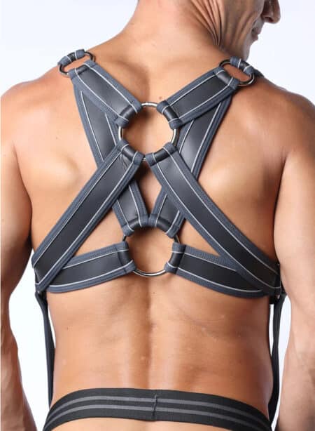 Cellblock 13 Mercury Harness Grey Large