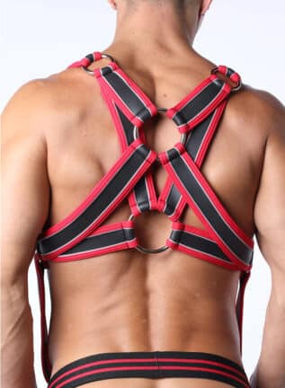Cellblock 13 Mercury Harness Red Extra large