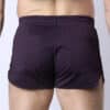 Cellblock 13 Take Down Reversible Short Purple Small