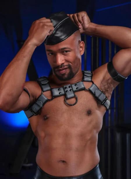 Mr. S Leather Dark Room Bulldog Harness Grey Small/Medium