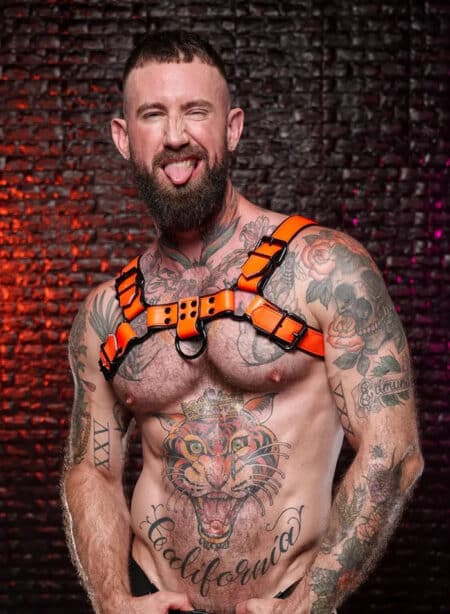 Mr. S Leather Dark Room Bulldog Harness Orange Small/Medium