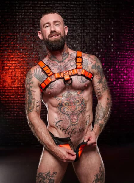 Mr. S Leather Dark Room Bulldog Harness Orange Small/Medium