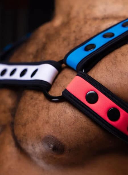 Mr. S Neo Bold Color Bulldog Harness: Mix & Match S/M