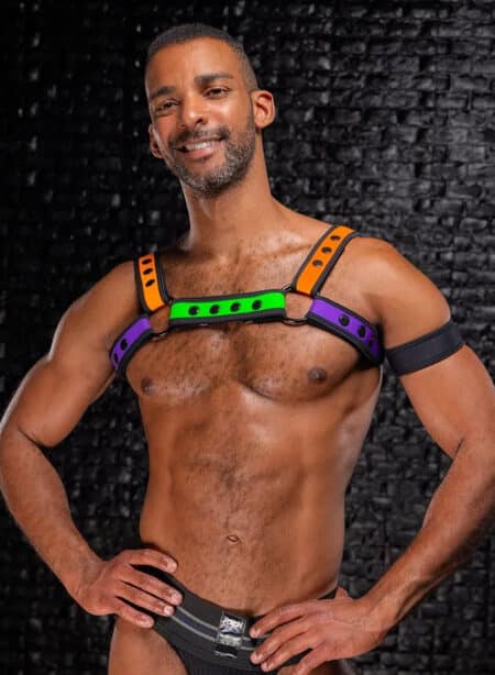 Mr. S Neo Bold Color Bulldog Harness: Mix & Match S/M