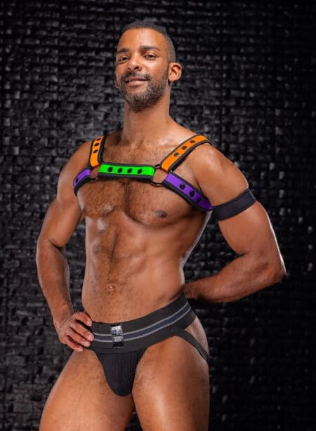 Mr. S Neo Bold Color Bulldog Harness: Mix & Match S/M