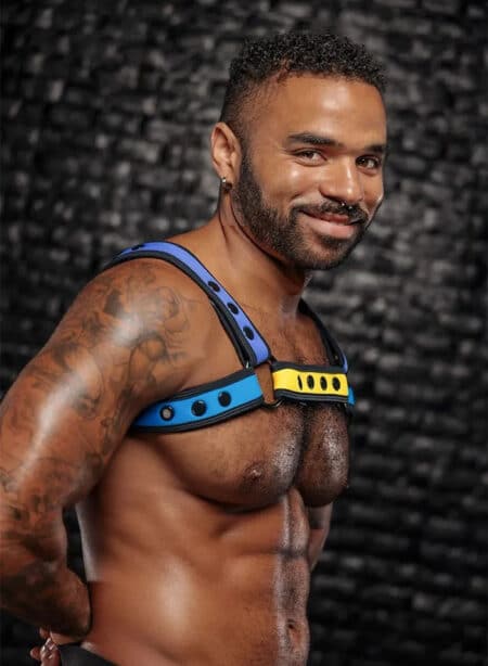 Mr. S Neo Bold Color Bulldog Harness: Mix & Match S/M