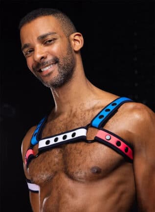 Mr. S Neo Bold Color Bulldog Harness: Mix & Match S/M
