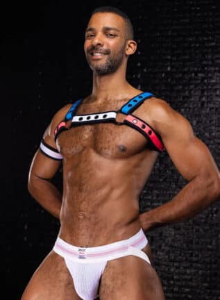 Mr. S Neo Bold Color Bulldog Harness: Mix & Match S/M
