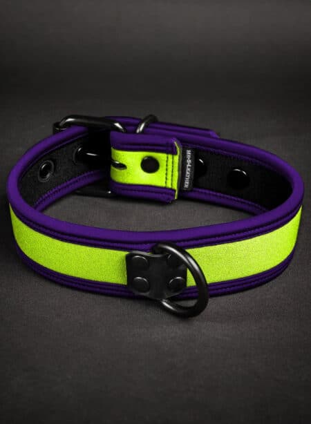 Mr. S Neoprene Puppy Collar: Custom Colors Small/Large