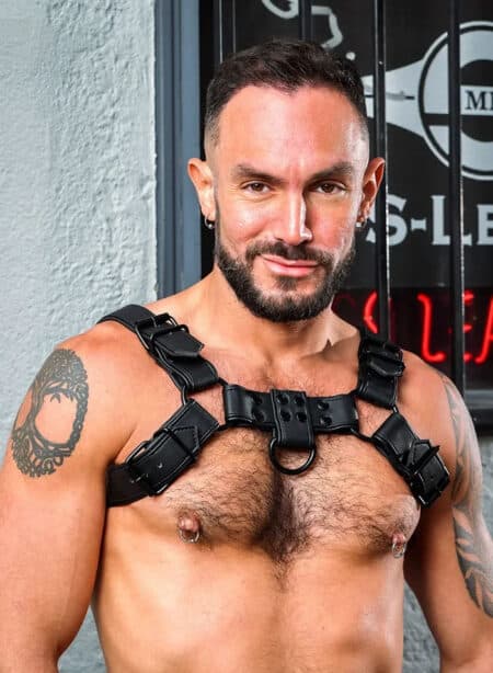 Mr. S Vegan Bulldog Harness Small/Medium