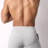 Cellblock 13 Kennel Club ATLAS Short Grey