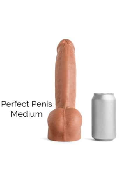 Hankey’s Toys Perfect Penis