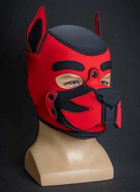 Mr. S Custom Neo K9 Hood