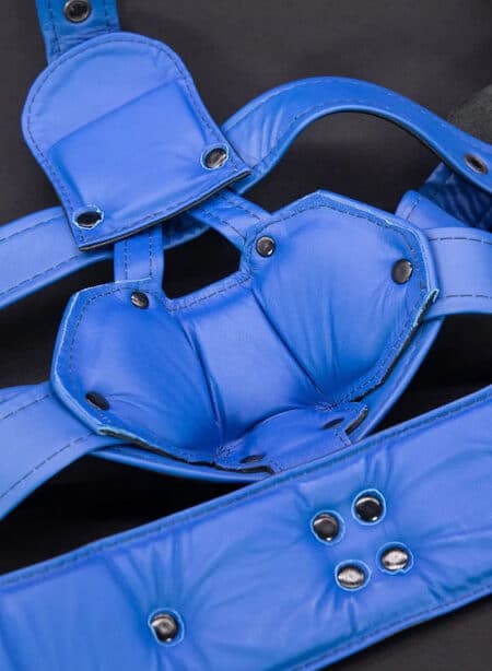 Mr. S Hardline Head Harness Muzzle Padded Locking Blue