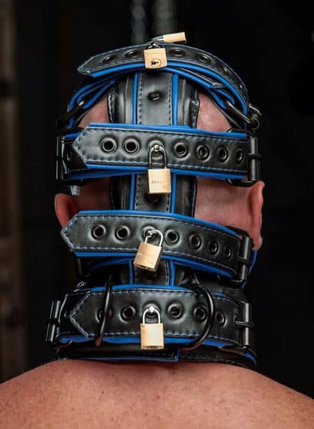 Mr. S Hardline Head Harness Muzzle Padded Locking Blue