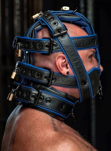 Mr. S Hardline Head Harness Muzzle Padded Locking Blue