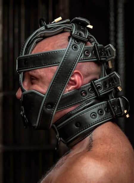 Mr. S Hardline Head Harness Muzzle Padded Locking Grey