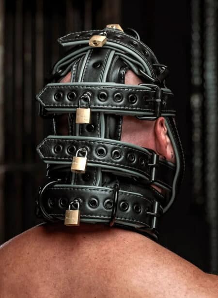Mr. S Hardline Head Harness Muzzle Padded Locking Grey