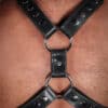 Mr. S Leather English Top Buckle Harness Latigo Leather