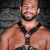 Mr. S Leather English Top Buckle Harness Latigo Leather