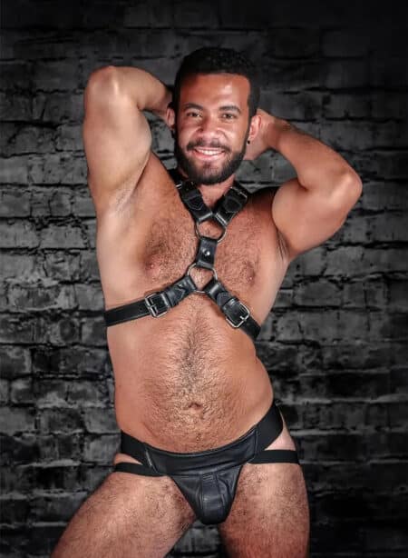 Mr. S Leather English Top Buckle Harness Latigo Leather