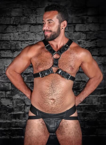 Mr. S Leather English Top Buckle Harness Latigo Leather