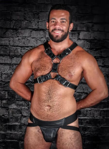 Mr. S Leather English Top Buckle Harness Latigo Leather