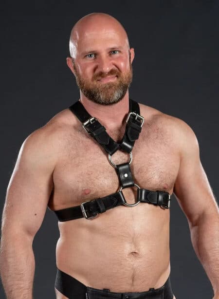 Mr. S Leather English Top Buckle Harness Latigo Leather