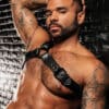 Mr. S Leather Slingshot Tri-Harness Black