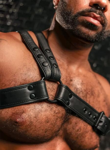 Mr. S Leather Slingshot Tri-Harness Black