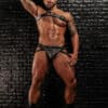 Mr. S Leather Slingshot Tri-Harness Black