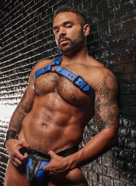 Mr. S Leather Slingshot Tri-Harness Blue