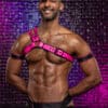 Mr. S Leather Slingshot Tri-Harness Pink