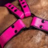 Mr. S Leather Slingshot Tri-Harness Pink