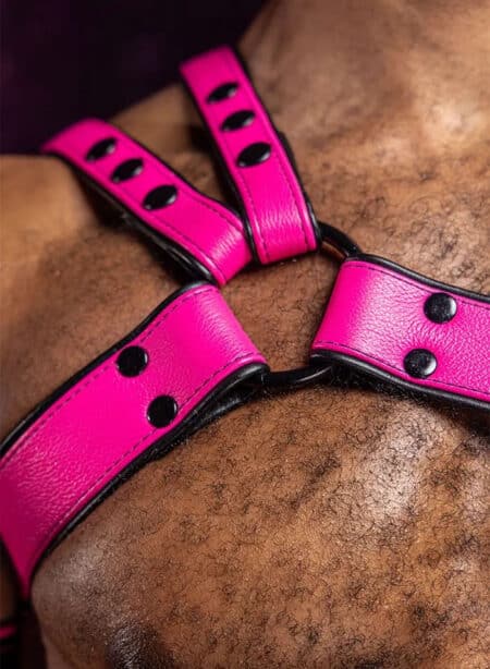 Mr. S Leather Slingshot Tri-Harness Pink