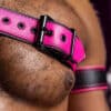 Mr. S Leather Slingshot Tri-Harness Pink