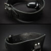 Mr. S Leather Wedge Gag