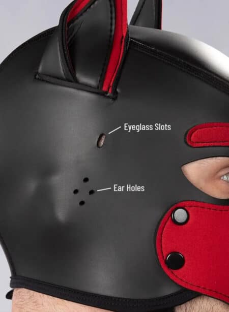Mr. S Neoprene Puppy Hood Custom