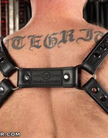 Mr. S Leather Hardline Hunter Harness Black