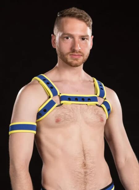 Mr. S Neoprene Bold Color Bulldog Harness Custom