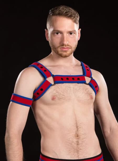 Mr. S Neoprene Bold Color Bulldog Harness Custom