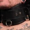 Mr. S Leather Heavy Duty Posture Collar