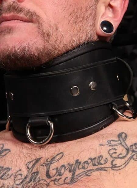 Mr. S Leather Heavy Duty Posture Collar